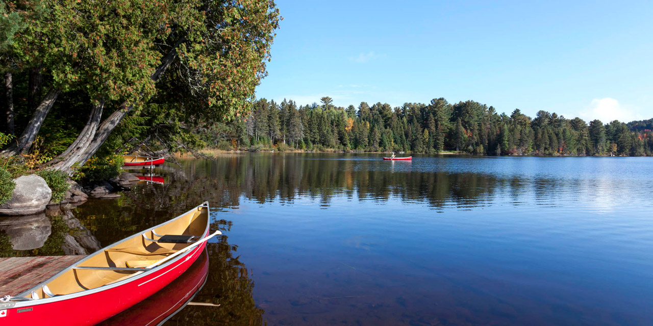 peaceful quiet moring canoe paddle