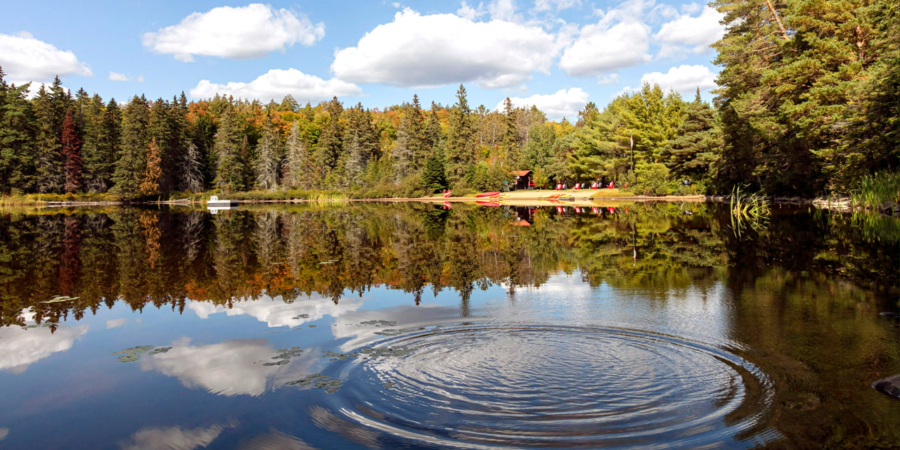 kayaks on beach summer killarney lodge