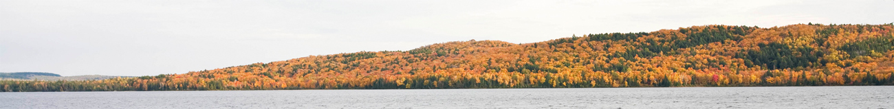 Fall panorama