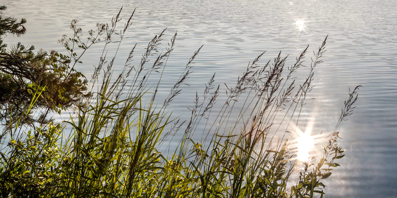 reflections-lake-grasses-lake-of-two-rivers