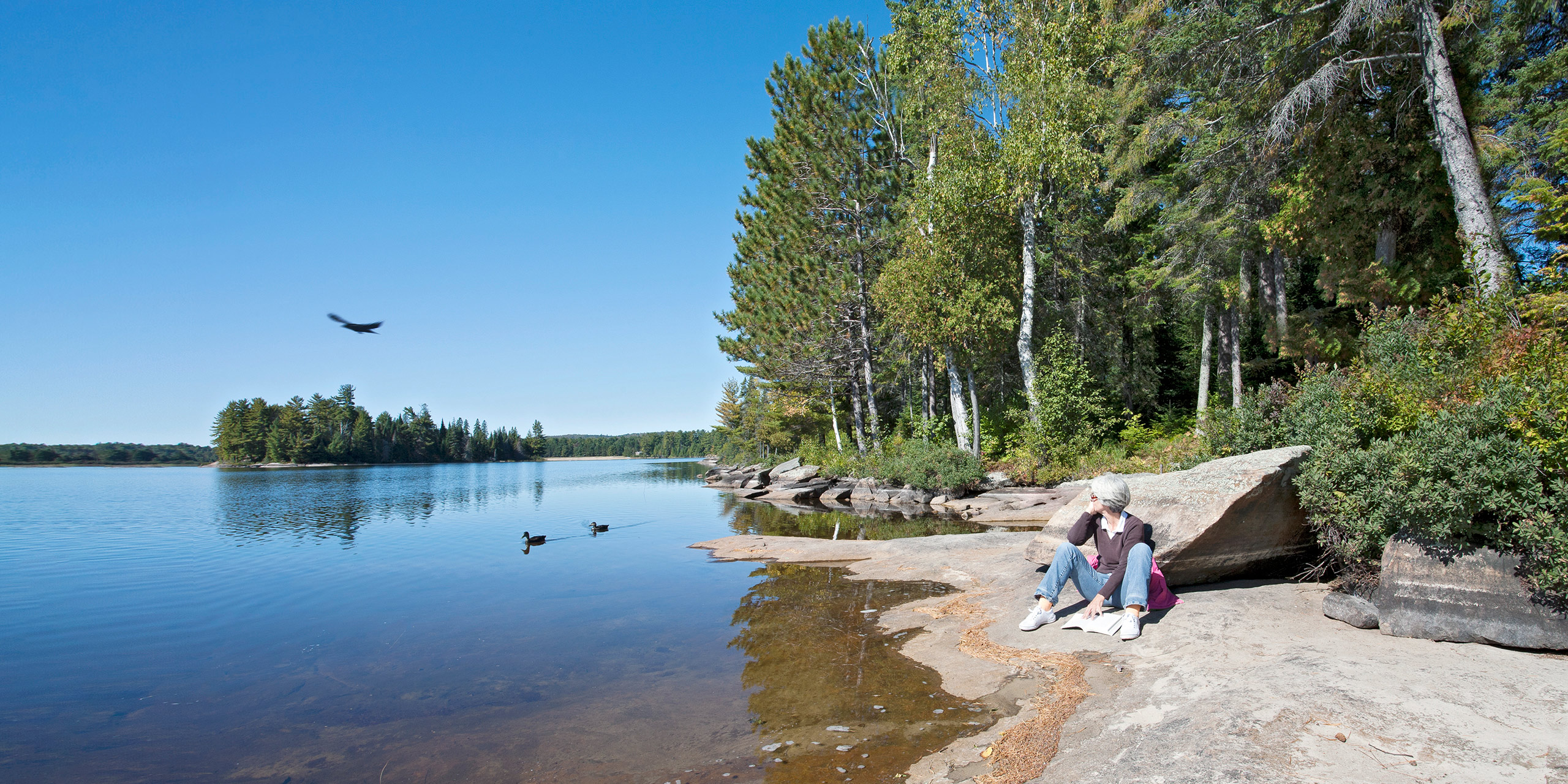 Killarney Lodge Sitemap | Algonquin Park Cabin Rentals - Killarney Lodge